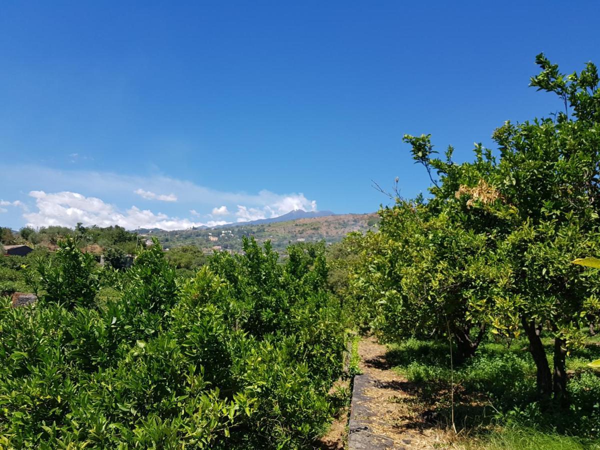 Agriturismo Le Case Di Civi Маскали Екстериор снимка