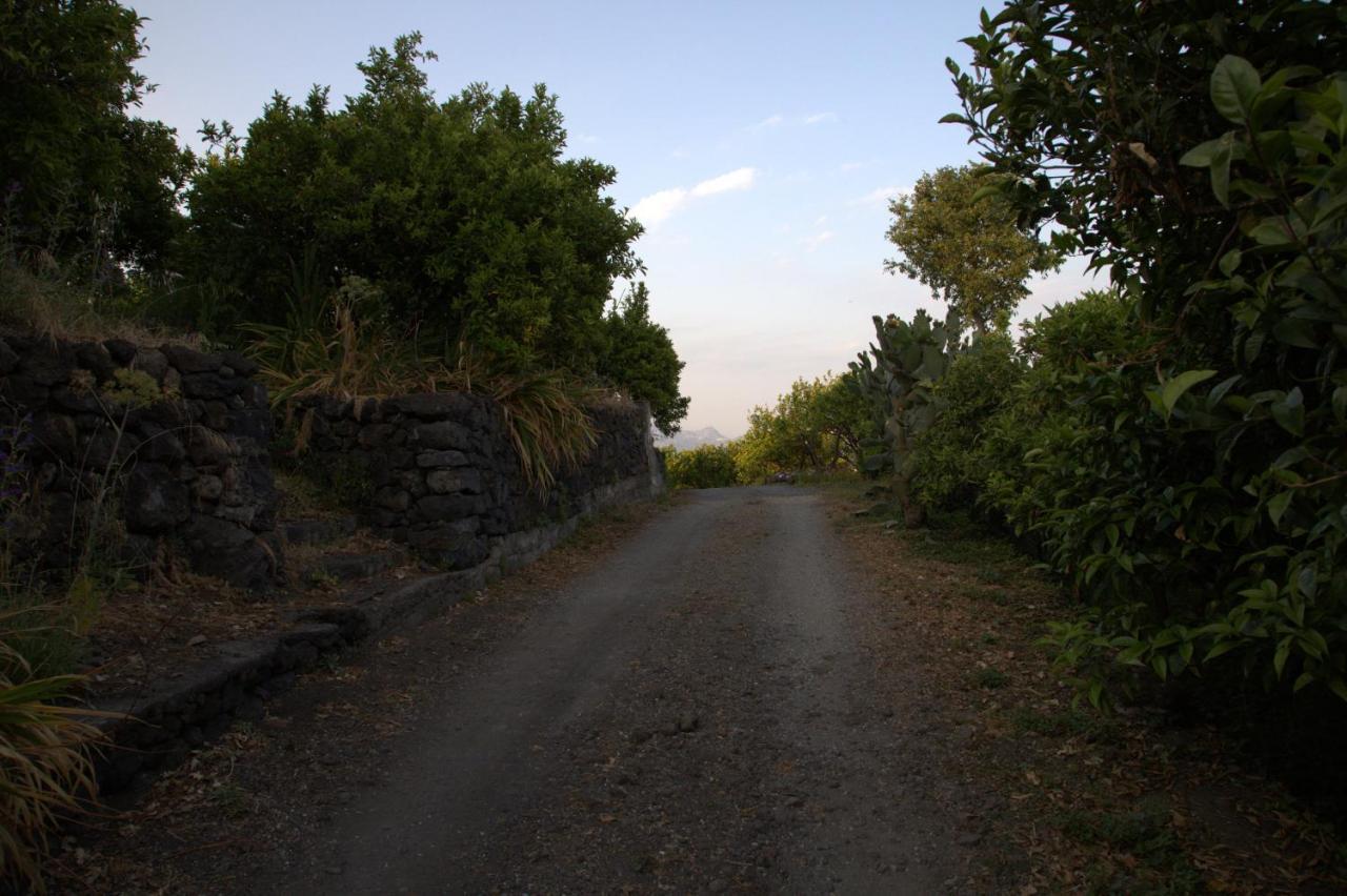 Agriturismo Le Case Di Civi Маскали Екстериор снимка