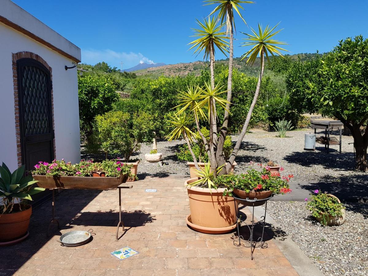 Agriturismo Le Case Di Civi Маскали Екстериор снимка