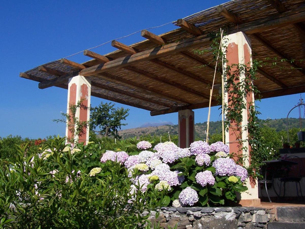 Agriturismo Le Case Di Civi Маскали Екстериор снимка